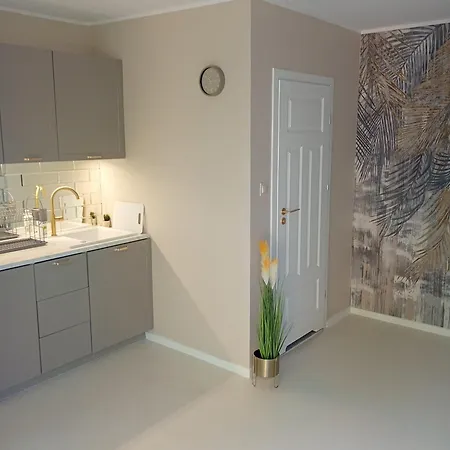 Deluxe Z Kuchnia I Parkingiem Na Wylacznosc Ciechanow