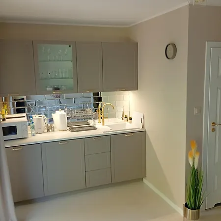 Apartamento Deluxe Z Kuchnia I Parkingiem Na Wylacznosc